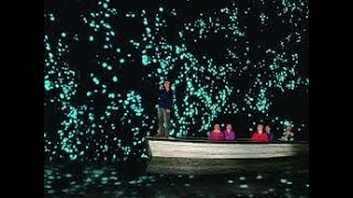 Glowworm Caves Waitomo - New Zealand | One of the most beautiful places in the world to visit