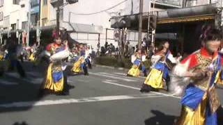 よさこい東海道2011(上本通り）真舞會