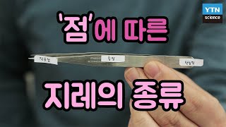 [핫클립] 알면 유용한 지렛대의 원리! / YTN 사이언스