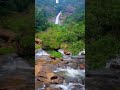 ഞണ്ടിറുക്കി വെള്ളച്ചാട്ടം പൂമാല ഇടുക്കി njandirukki waterfall poomala idukki