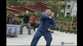 二水居士讲解杨式叶派太极拳，拳架的劲力变化