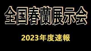 全国春蘭展示会速報画像2023