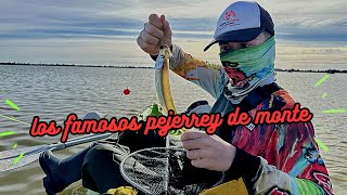 PESCA de pejerrey en la Laguna de MONTE // TE CUENTO LA POSTA