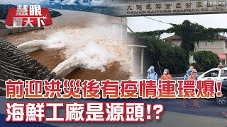 前迎洪災後有疫情!3號洪水過境 三峽大壩工程師:水只淹到\