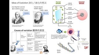 [如何理解課程要求]  Bio 生物多樣性 精讀班 Biodiversity Intensive