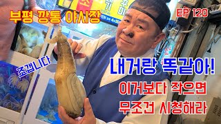 오재미TV [EP120] 부산 맛기행 - 코끼리조개