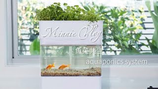 🐠Mini aquaponics Fish Tank with Automatic Circulation System for Home Office Decor