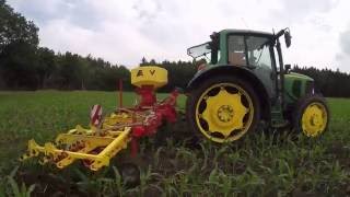 Mais striegeln | Grasuntersaat | John Deere 6420 | APV | *GoPro*DJI*Cabview