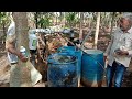 modicare agricultural products active80 u0026 activmax results for areca how to improve areca yield