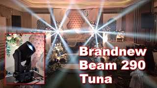 Beam 290 Tuna on a wedding event