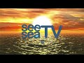 see sea tv 4월 22일 기상청 강풍특보발효 안전사고 유의 해양방송 on바다