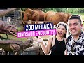 Zoo Melaka & Dinosaur Encounter | Things to do in Melaka