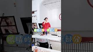 眼睛的雨-合音分佈細膩教學 #亮亮老師 #亮亮老師專業歌唱技巧班 #眼睛的雨 #技巧