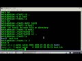 BASH lesson 2