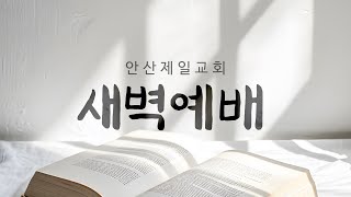 안산제일교회 엎드림 새벽예배 김형록 목사 (2025년 2월 10일)