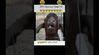 مضحكات ههههههه حال السارق في السجن. لاتنسو الاشتراك باالقناه #shorts