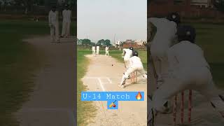 U-14 Cricket Match at Cricket Hub #shorts #cricket #trending