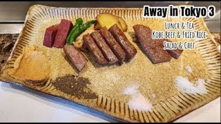 Ultimate Guide to Tokyo Part 3 [Vlog] - Lunch Discount for Kobe Beef in Ginza City.