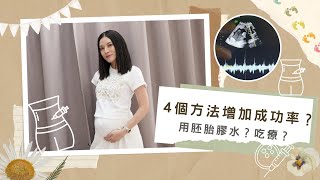 【懷孕很難➉】如何增加植入成功的機會？每次IVF都有吃的食物？Sona Tina IVF