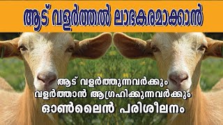 മാരത്തോൺ ഓൺലൈൻ ആടുവളർത്തൽ പരിശീലനം|| ആട് വളർത്തുന്നവർക്ക് ഓൺലൈൻ പരിശീലനം