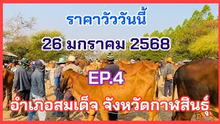 EP.4 #ราคาวัววันนี้ 26 มกราคม 2568 #ตลาดวัวอำเภอสมเด็จ จังหวัดกาฬสินธุ์ #อำเภอสมเด็จจังหวัดกาฬสินธุ์