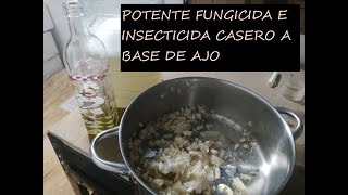 FUNGICIDA E INSECTICIDA CASERO  CONTRA LOS HONGOS