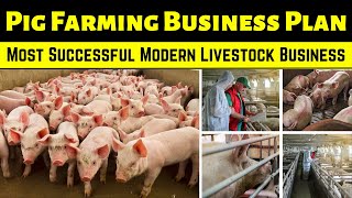 Pig Farming Business Plan || Start Your Own Pig Farming Business and Prosper!