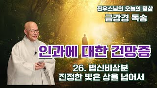 인과에 대한 건망증 - 금강경 제 26. 법신비상분 진정한 빛은 상을 넘어서 #선명상 #조계종 #진우스님