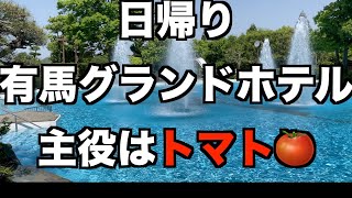 有馬グランドホテルへ日帰り旅行行ってきたけど有馬グランドホテルのトマトはガチ！