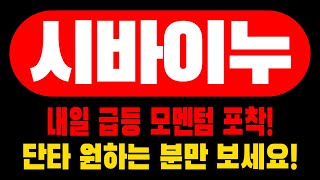 [시바이누] 내일 급등 모멘텀 포착! 단타 원하는 분만 보세요!