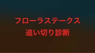 フローラステークス2019#競馬#予想#2歳戦