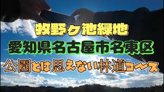 愛知県名古屋市名東区　牧野ヶ池緑地　池の周りは恐ろしいほどの林道ウォーキングコース