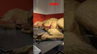 Worlds first dead T-Rex #shorts #short #shortsvideo #views #omg #dinosaur #amazing #epic #real