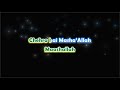 mashaallah ek tha tiger karaoke with lyrics