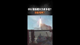 055 驱逐舰火力有多猛？功能啥样？