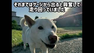 【独身女性】親子愛犬🚗旅【5月】