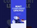 React Component Lifecycle #react #reactjs #programming #frontend #learning #javascript #typescript