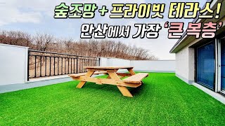 [안산복층빌라] 산조망♥ 프라이빗 테라스가 있는 안산에서 가장 큰 복층! / 최고급 자재 시공 / 달미역 \u0026 달미공원 인접 [이음주택0813]