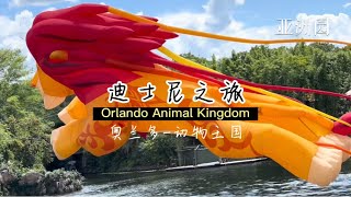 Disneyland in Orlando (Animal Kingdom) 奥兰多迪士尼之动物王国