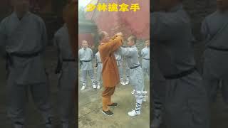 武术视频中国功夫 #shorts