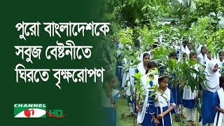 পিরোজপুরে প্রকৃতি ও জীবন ক্লাবের বৃক্ষরোপণ