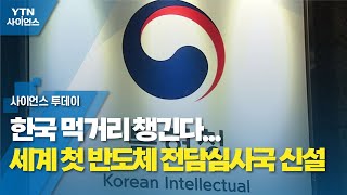 한국 먹거리 챙긴다...세계 첫 반도체 전담심사국 신설 / YTN 사이언스