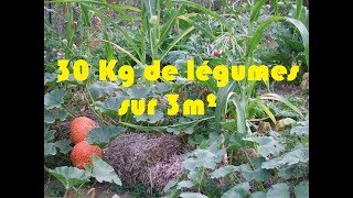 30 kg de légumes sur 3m²