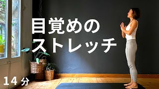 【すっきりとした体と頭で1日をスタート】体のかたい人にもお勧め、朝ストレッチ１４分 #221