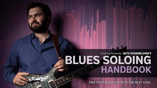🎸 Seth Rosenbloom's Blues Soloing Handbook - Intro - Guitar Lessons
