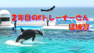 ２年目（K）トレーナーさん、スカイロケットの猛練習、　鴨川シーワールド、シャチ「2022/06/27」