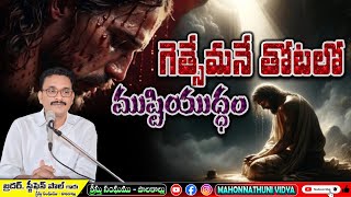 FIST FIGHT IN GESTHEMANE || గెత్సేమనే తోటలో ముష్టి యుద్ధం || Smyrna Church || REVELATION #biblestudy