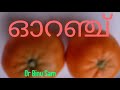 ഓറഞ്ചിന്റെ ഗുണദോഷങ്ങൾ advantages and disadvantages of orange in malayalam bemmm kerala india