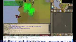 RSPowerBot - Runescape Bot Pack