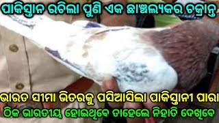 ପାକିସ୍ତାନ ରଚିଲା ପୁଣି ଏକ ଛାଞ୍ଚଲ୍ୟକର ଚକ୍ରାନ୍ତ,ଭାରତ ସୀମା ଭିତରକୁ ପଶିଆସିଲା ପାକିସ୍ତାନୀ ପାରା